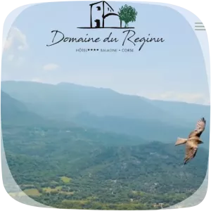 Capture d'écran du site hôtel 4 étoiles Domaine du Reginu