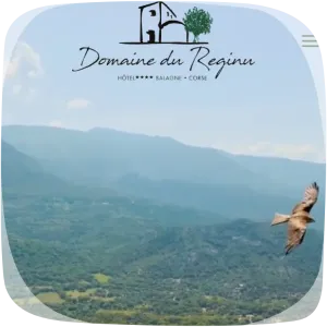 Capture d'écran du site hôtel 4 étoiles Domaine du Reginu