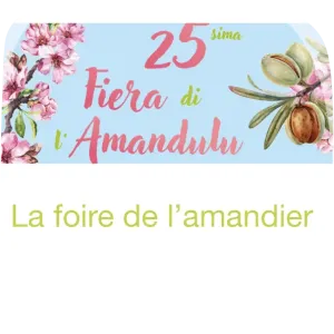 Capture d'écran du site foire de l'amandier